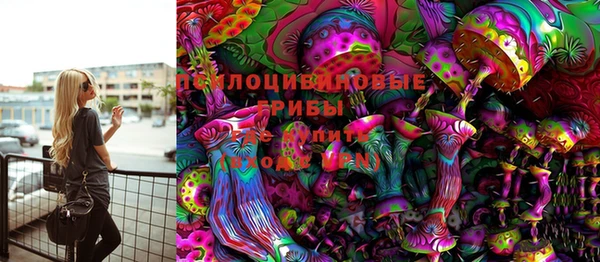 прущие грибы Алзамай