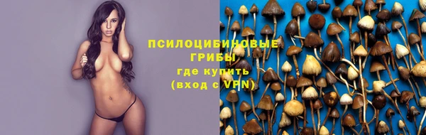 прущие грибы Алзамай