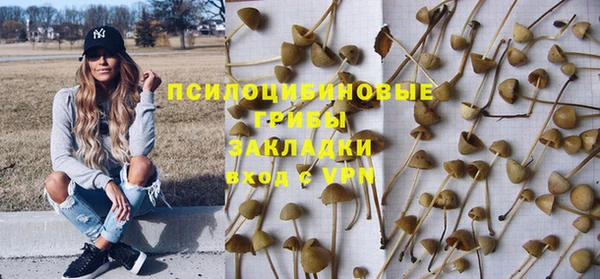 прущие грибы Алзамай