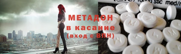 прущие грибы Алзамай