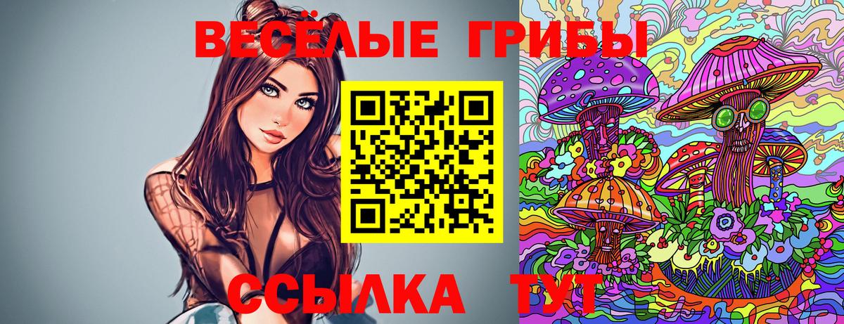 Галлюциногенные грибы Psilocybe Гусь-Хрустальный