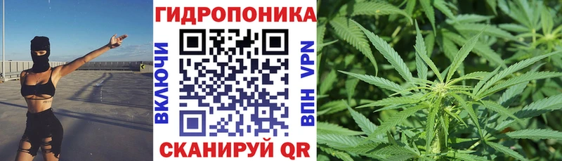 Шишки марихуана ГИДРОПОН  Гусь-Хрустальный 
